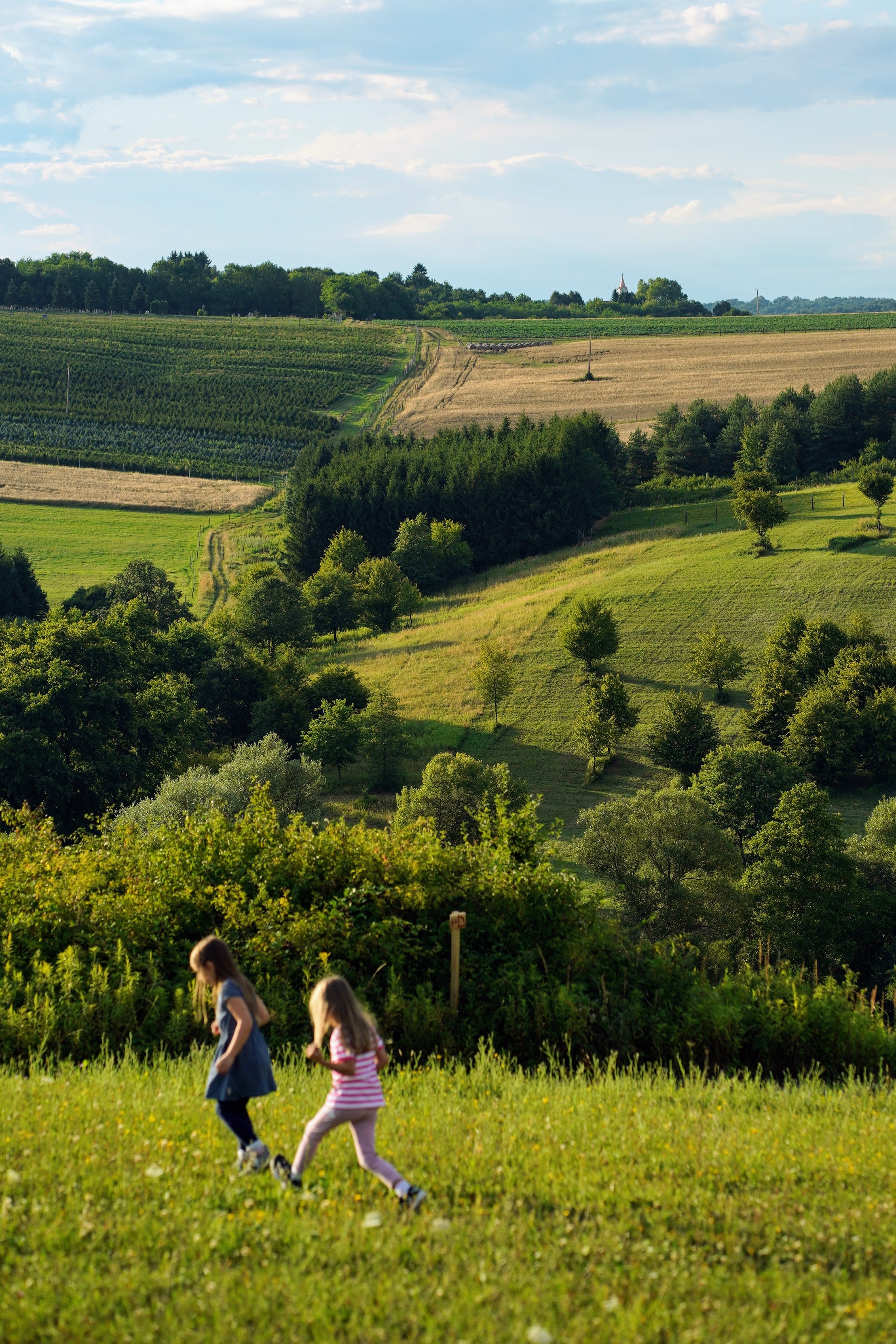 Szegvidék Alapítványi támogatás