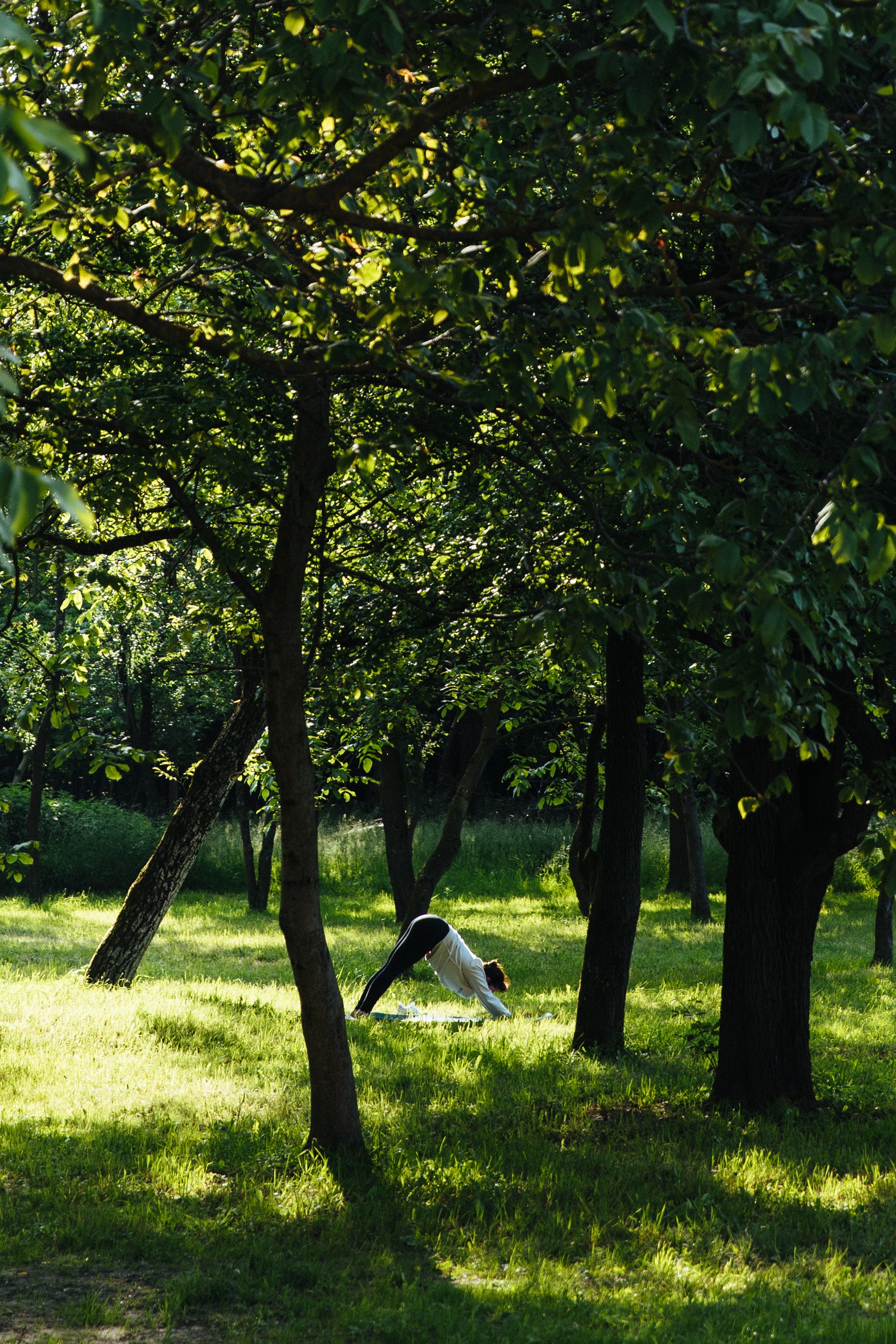 Szegvidék Alapítványi támogatás